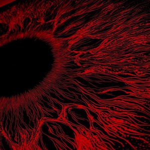 农村一级A片小树林69LⅩ
